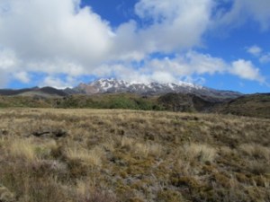 Tongariro_0162